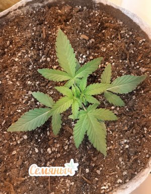 20220623_080932.jpg 20220623_080932.jpg