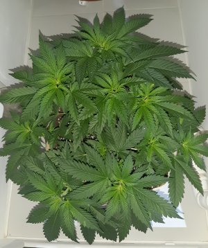 20220623_192737.jpg 20220623_192737.jpg