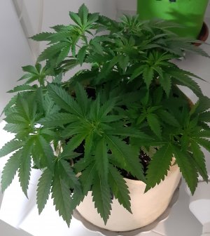 20220623_200201.jpg 20220623_200201.jpg