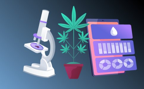 PH, ЕС и TDS грунта и раствора при выращивании конопли PH, ЕС и TDS грунта и раствора при выращивании конопли