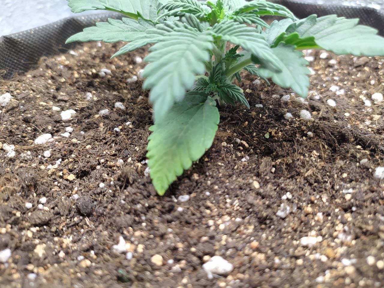 photo2 — копия.jpg