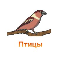 Защита конопли от птиц