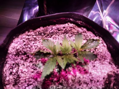 20220629_162048.jpg 20220629_162048.jpg