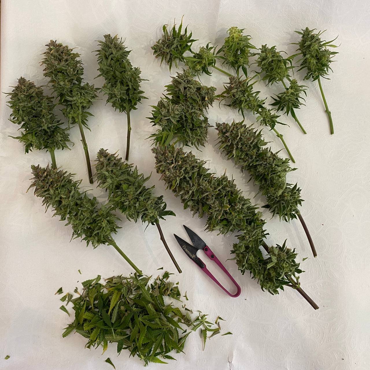 после барбера.jpg