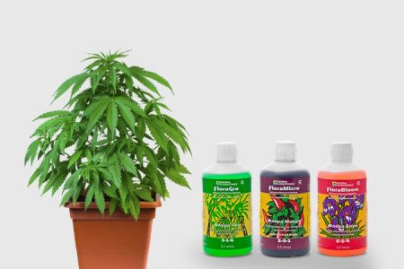 удобрения для конопли удобрения для конопли