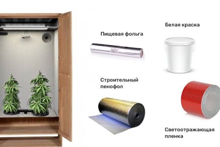 как правильно выращивать коноплю в гроубоксе