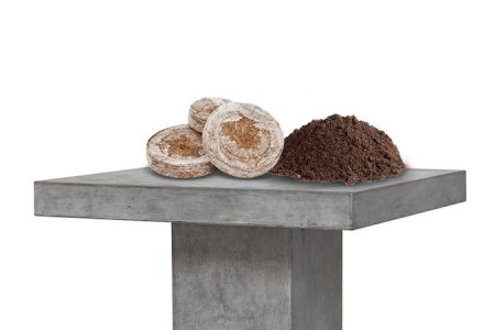 Почвосмеси – лучшая среда для выращивания конопли Почвосмеси – лучшая среда для выращивания конопли