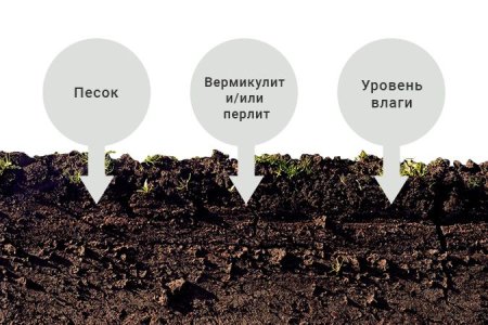 Структура почвосмеси для выращивания конопли Структура почвосмеси для выращивания конопли