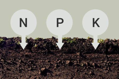 Питательные вещества в почвосмеси для выращивания конопли Питательные вещества в почвосмеси для выращивания конопли