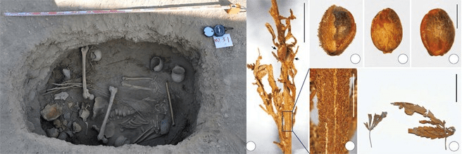 1610543716249.png 1610543716249.png