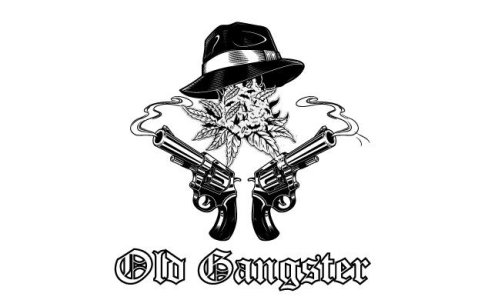 Сорт конопли OG Kush Сорт конопли OG Kush