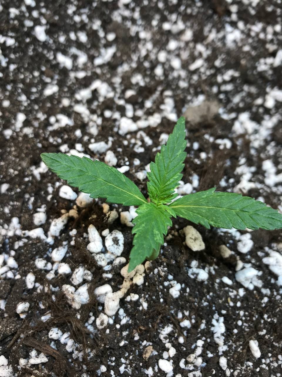 photo_2022-07-13_15-23-47.jpg photo_2022-07-13_15-23-47.jpg