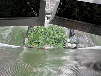 32EAC4DD-BD2A-4FD2-80A6-E019601AB811.jpeg 32EAC4DD-BD2A-4FD2-80A6-E019601AB811.jpeg