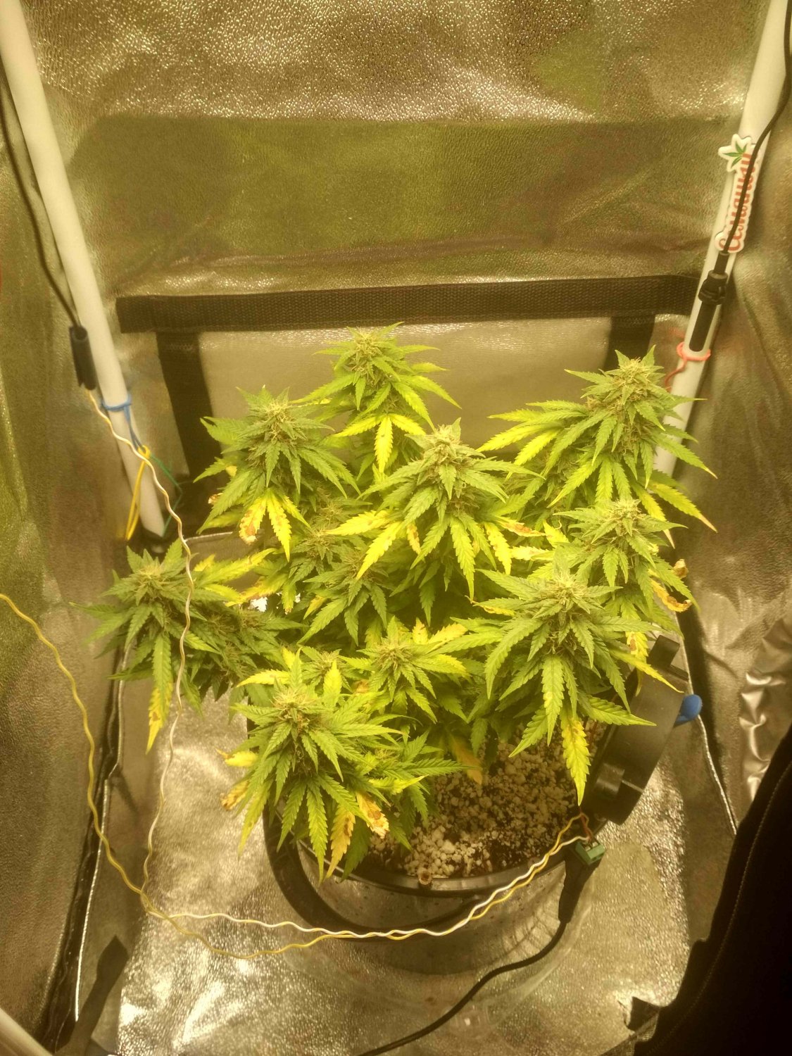 IMG_20220714_184057_HDR.jpg IMG_20220714_184057_HDR.jpg