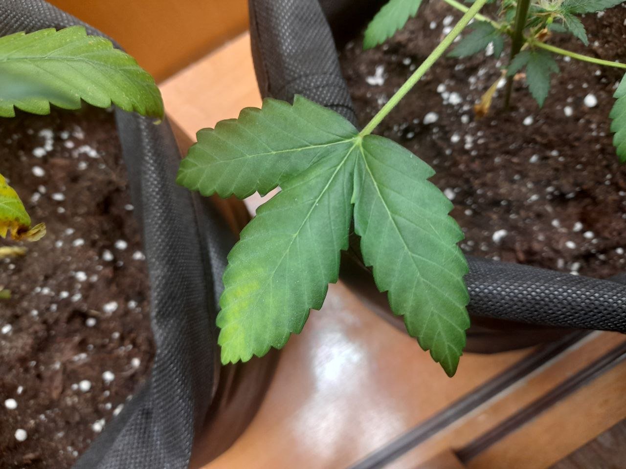 photo_2022-07-17_12-53-34 (3).jpg