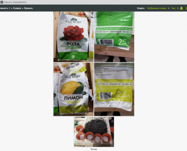 изображение_2022-07-19_011302.png изображение_2022-07-19_011302.png