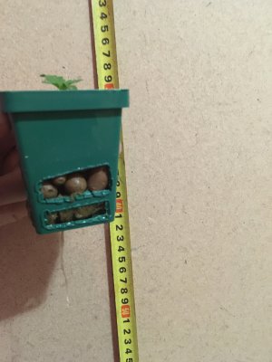 IMG_6866.JPG IMG_6866.JPG