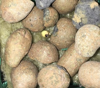 IMG_E6881.JPG IMG_E6881.JPG