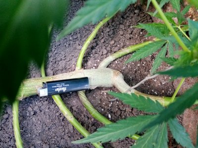 бочка.jpg бочка.jpg