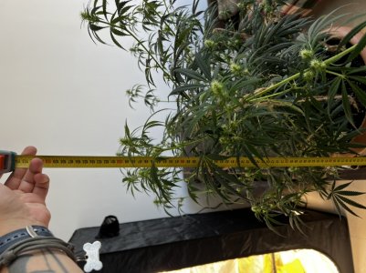 A6C165BD-F6D1-4D95-8DE5-A2CE1EEA2A7A.jpeg A6C165BD-F6D1-4D95-8DE5-A2CE1EEA2A7A.jpeg