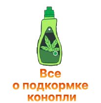 38-Vse o pitatelnyh veshchestvah dlya konopli-100.jpg