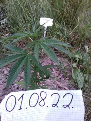 20160609_055801.jpg 20160609_055801.jpg