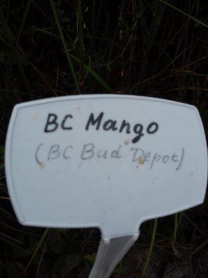 20160609_055958.jpg 20160609_055958.jpg