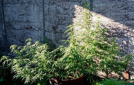 боч.jpg боч.jpg