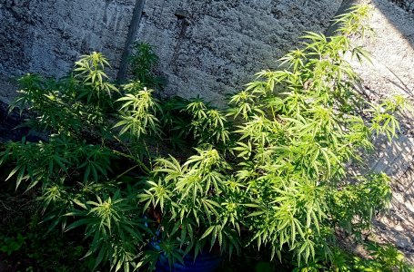 бочк.jpg бочк.jpg