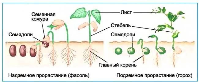 F6978514-59EC-484E-A24C-121F831D89F4.jpeg F6978514-59EC-484E-A24C-121F831D89F4.jpeg
