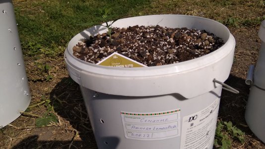 IMG_20220818_152614.jpg IMG_20220818_152614.jpg