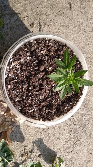 IMG_20220818_173614.jpg IMG_20220818_173614.jpg