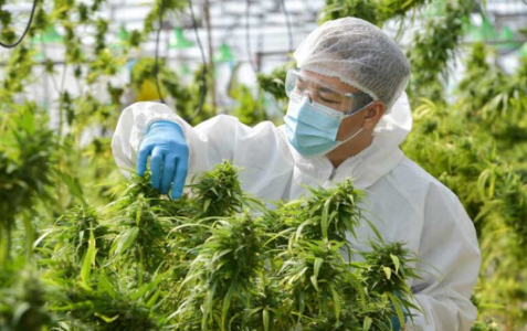 1660896928916.png 1660896928916.png