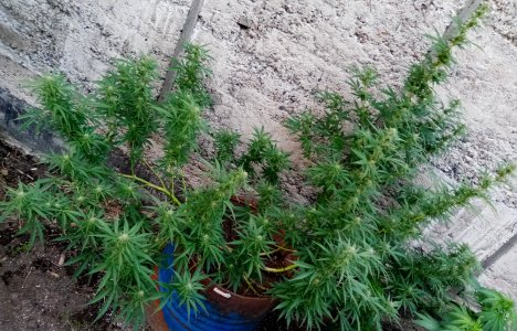 боч.jpg боч.jpg