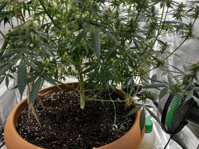 3FC86CD7-3528-4A58-A292-A2ADEEB36DCF.jpeg 3FC86CD7-3528-4A58-A292-A2ADEEB36DCF.jpeg