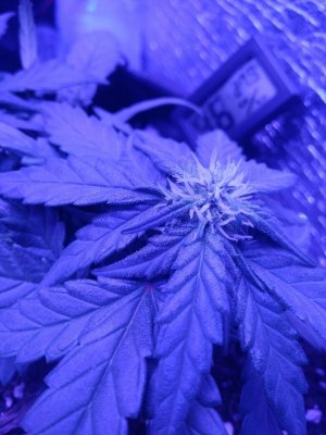 photo_2022-08-23_18-11-25 (2).jpg