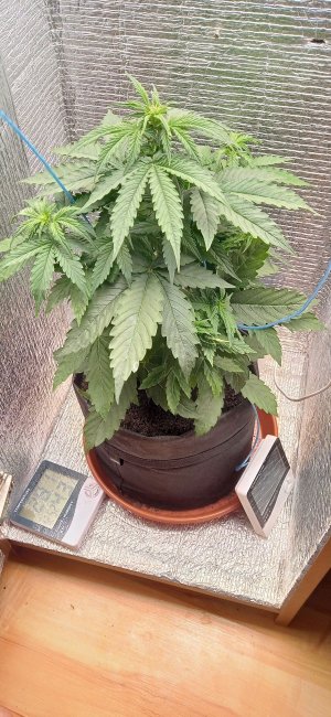 2 — копия.jpg