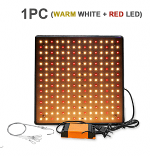 Снимок экрана 2022-09-01 162732.png