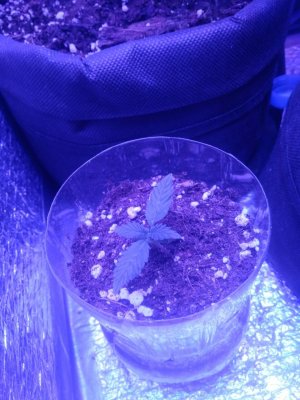 photo_2022-09-03_09-12-55 (5).jpg