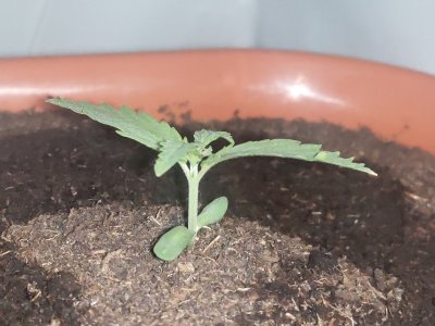 P20904-001815.jpg P20904-001815.jpg