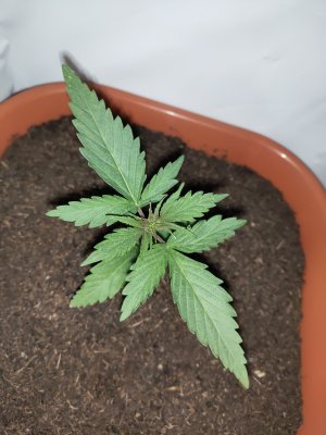 P20908-164311.jpg P20908-164311.jpg