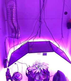 11E2CA72-BEC8-44B2-9EC4-77F6C425980A.jpeg 11E2CA72-BEC8-44B2-9EC4-77F6C425980A.jpeg