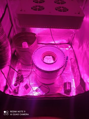 1663449392924.jpg 1663449392924.jpg