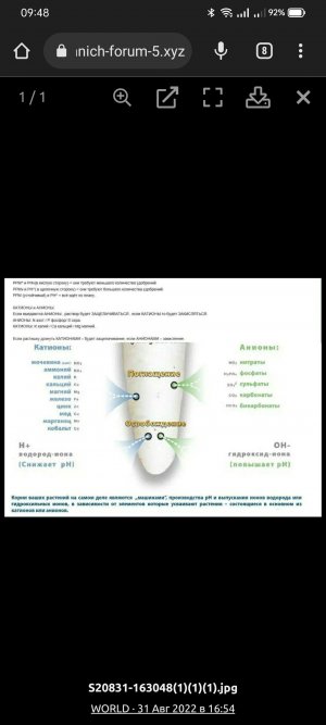 Screenshot_2022-09-04-09-48-18-22_40deb401b9ffe8e1df2f1cc5ba480b12.jpg Screenshot_2022-09-04-09-48-18-22_40deb401b9ffe8e1df2f1cc5ba480b12.jpg