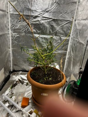 99BB6ECD-2C46-44F8-9503-145F4CFF5C88.jpeg 99BB6ECD-2C46-44F8-9503-145F4CFF5C88.jpeg