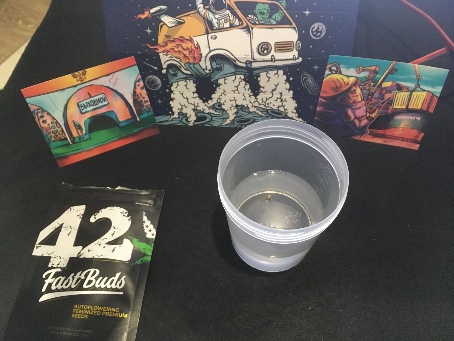 ссс.jpg ссс.jpg