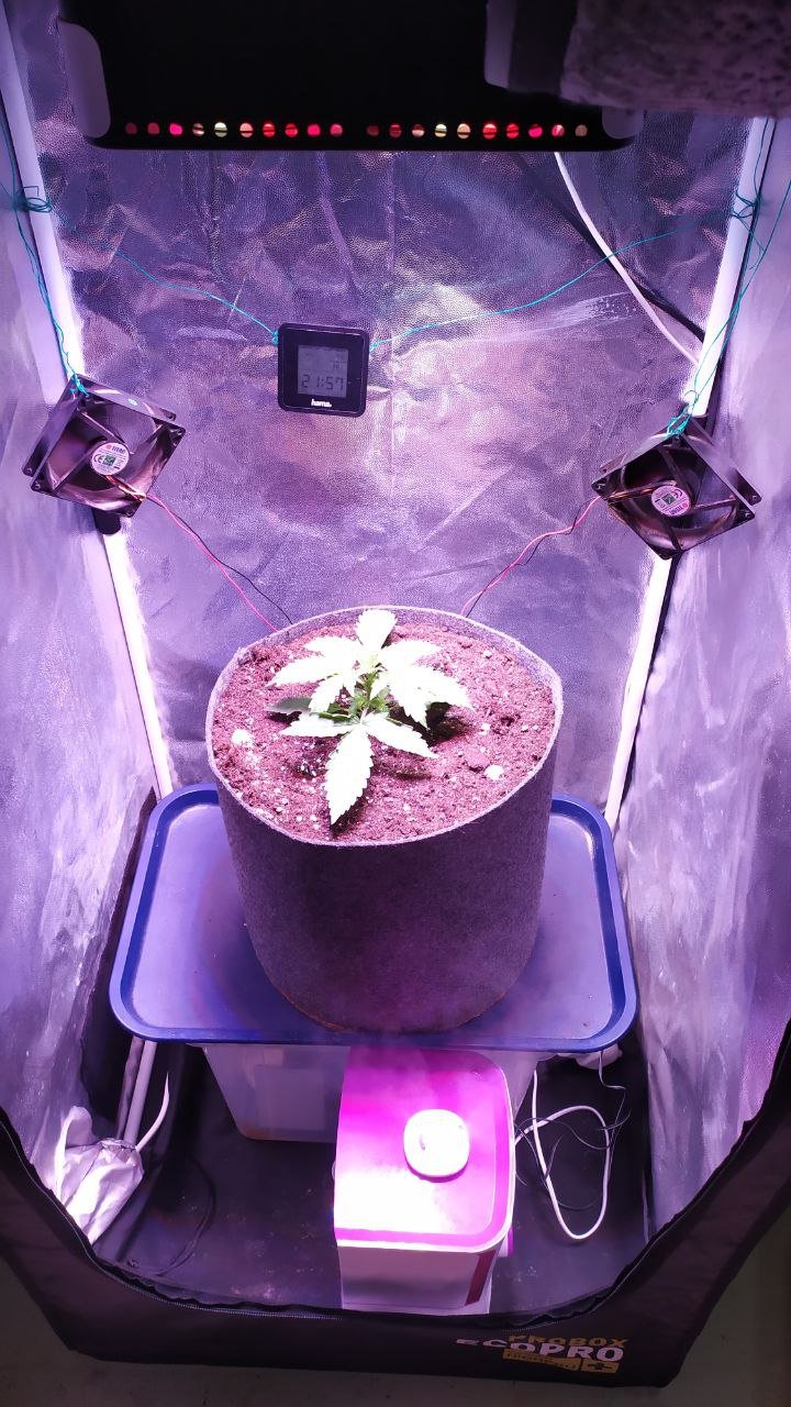 photo_2022-10-03_11-36-04.jpg photo_2022-10-03_11-36-04.jpg