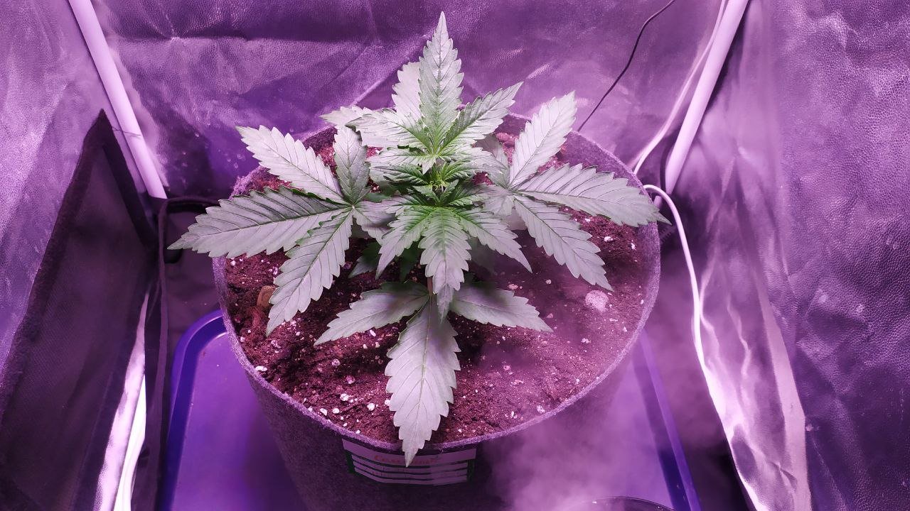 photo_2022-10-05_14-20-00 (2).jpg photo_2022-10-05_14-20-00 (2).jpg