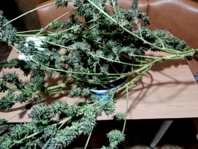 бочка2.jpg бочка2.jpg