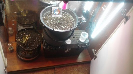 20210316_024737.jpg 20210316_024737.jpg